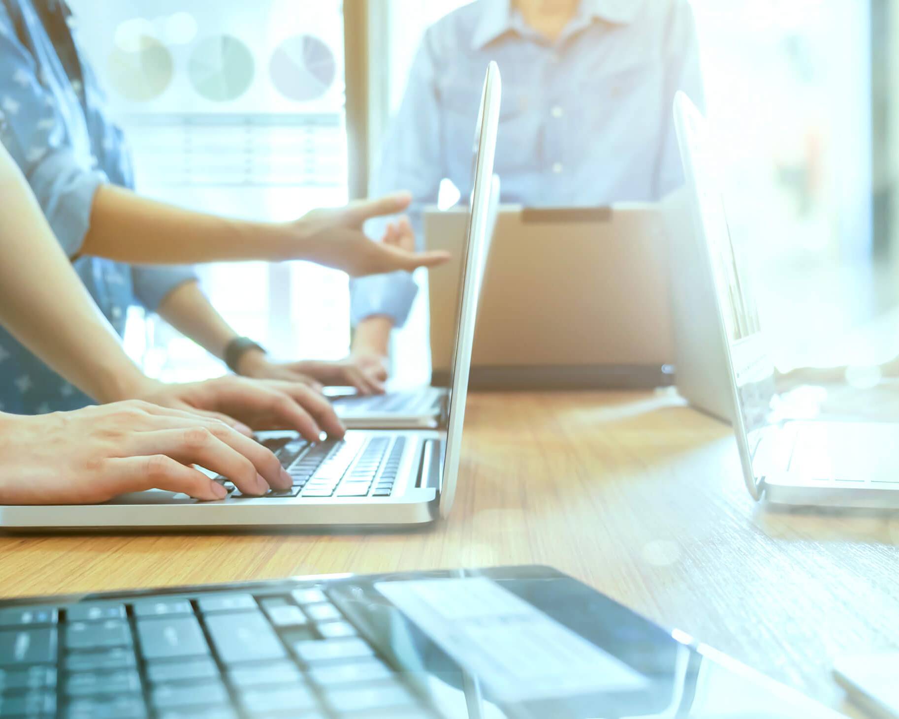 BUSINESS_web 4 YPC Faculty of Business Programmes List