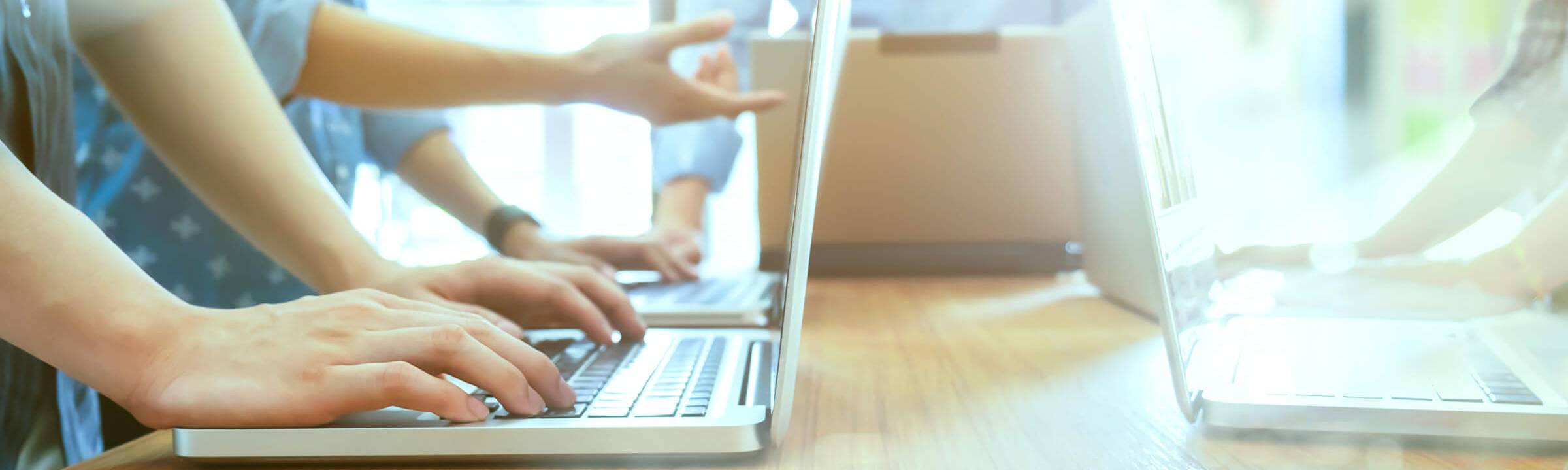 BUSINESS_web 3 YPC Faculty of Business Programmes List