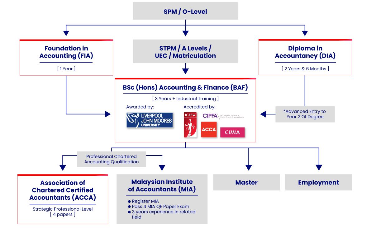 YPC-accounting-faculty-education-pathway 1 YPC accounting faculty education pathway desktop
