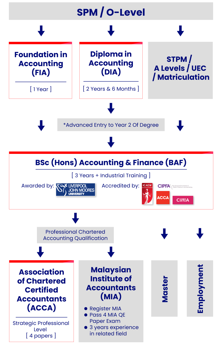 accounting-faculty-education-pathway-mobile 2 accounting faculty education pathway mobile