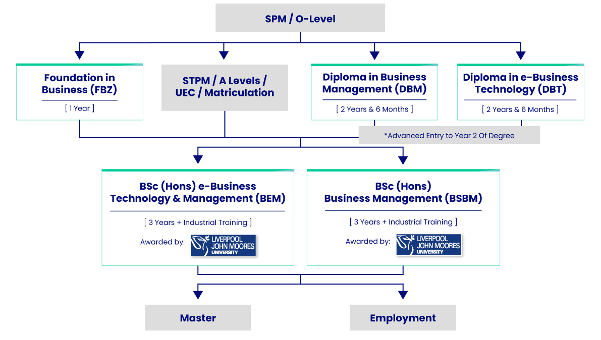 business-faculty-education-pathway 1 YPC business faculty education pathway desktop